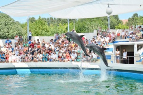 2000 de copii din Covasna îşi petrec vacanţa pe litoral